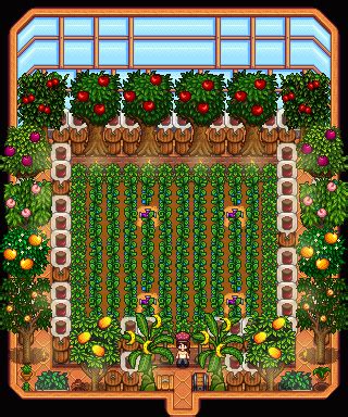 Stardew Valley Greenhouse Design | Stardew valley, Stardew valley layout, Stardew valley tips