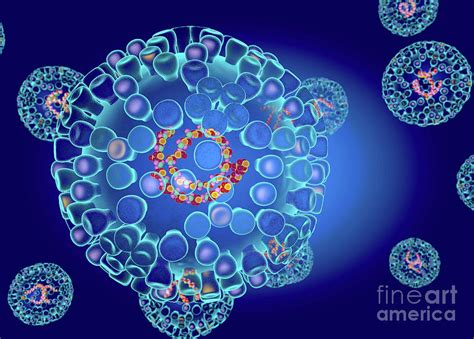 Bluetongue Virus Structure Photograph by Roger Harris/science Photo ...