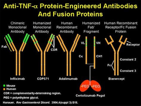 Nephrology World: TNF alpha inhibitors and the Kidney