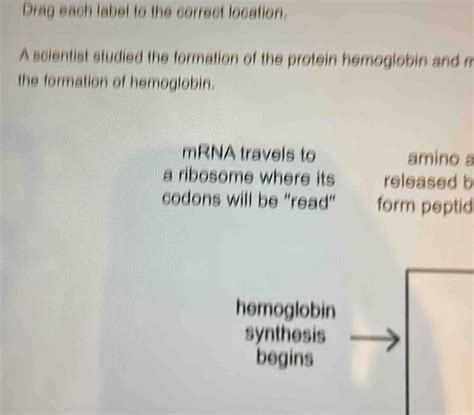 Solved: Drag each label to the correct location. A scientist studied ...