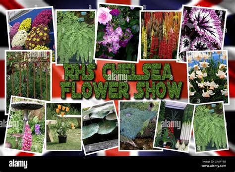 Chelsea Flower Show Stock Photo - Alamy