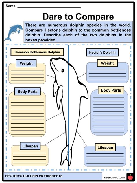 Hector's Dolphin Facts & Worksheets | Characteristics, Diet, Habitat