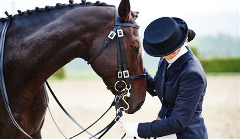 17 Best Horse Breeds for Dressage - Farmhouse Guide