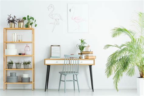 10 Best Aesthetic Plants to Add to Your Office