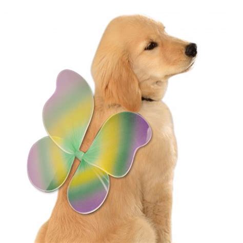 Fairy Wings Dog Costume - Mardi Gras | BaxterBoo