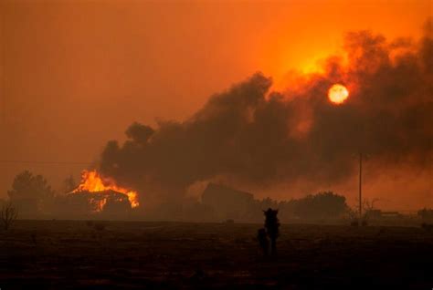 Delta A330 Diverts After Wildfire Smoke Reportedly Ends Up In Cockpit