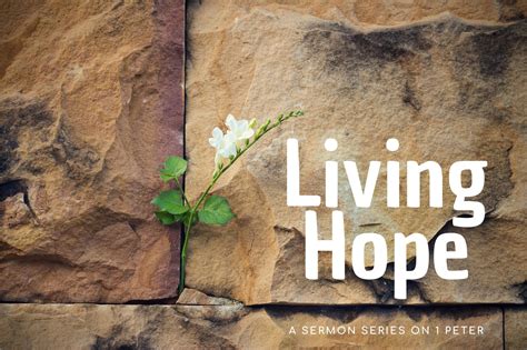 Living Hope - Zion Lutheran Church