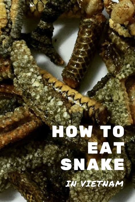 The Best Snake Food For Reptiles and Amphibians - Pet Food Guide