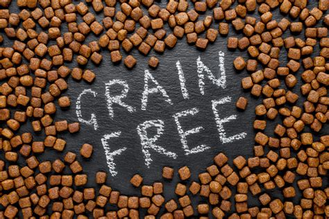 What's The Deal with Grain-Free Dog Food? - Animal Care Center
