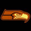 Seattle Seahawks 01 CO - StoneyKins