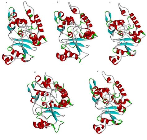 In order to predict the third structure of the designed multi-epitope ...