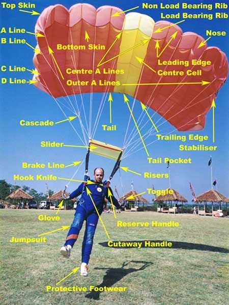 Parachuting Equipment | Skydiving gear, Skydiving, Skydiving quotes