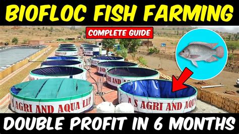 Biofloc Fish Farming - Discover Agriculture