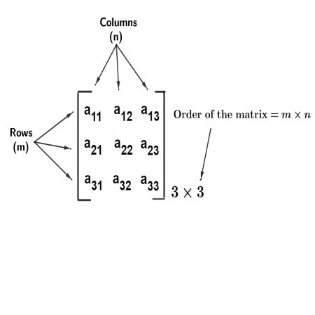 Reduced Row-Echelon Form | Definition, Rules & Examples - Lesson ...