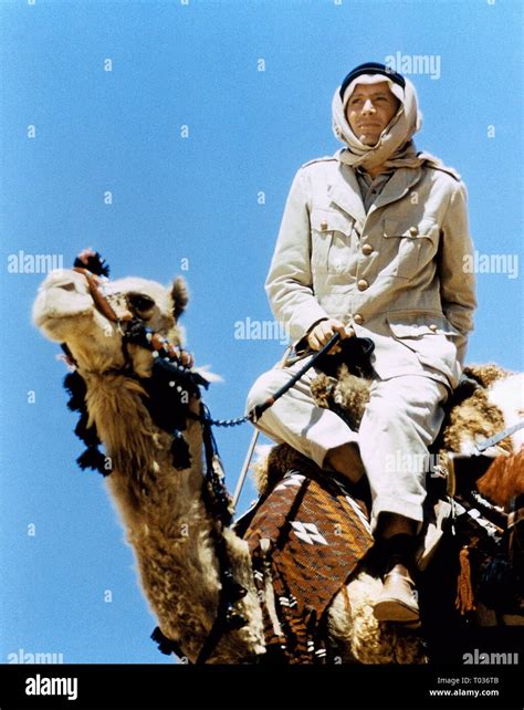 Lawrence von arabien peter otoole hi-res stock photography and images - Alamy