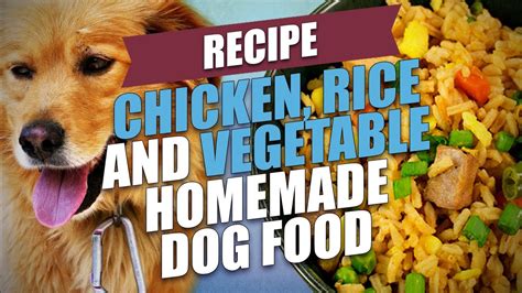 CHICKEN RICE VEGETABLE DOG FOOD RECIPE - Online Heath News