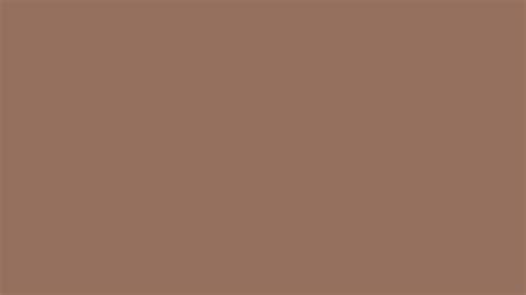 Milk Coffee Brown (similar) Color | 96705e information | Hsl | Rgb | Pantone