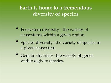 Evolution of Biodiversity - ppt download