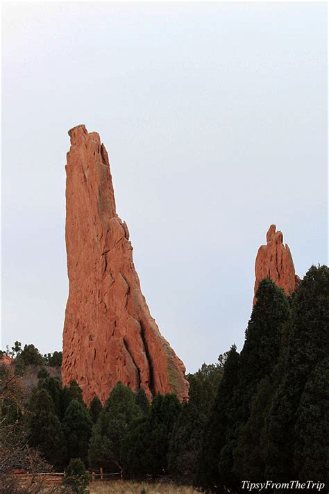 Garden of the Gods: a garden of red rock formations |Tipsy from the TRIP