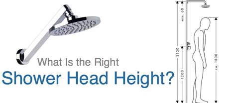 What Is the Right Shower Head Height, and How Do You Adjust It?