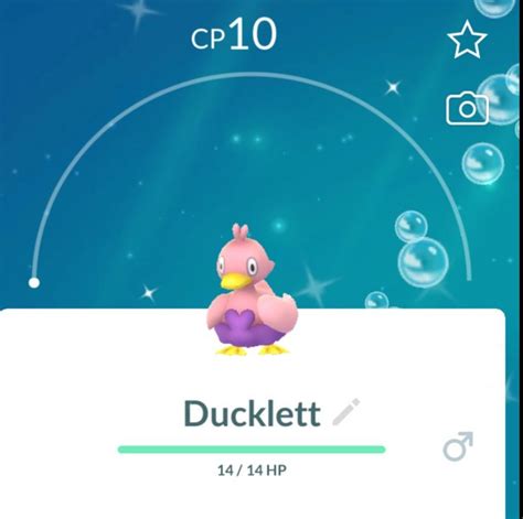 Shiny Ducklett is now available on Pokémon GO For starting today at the NYC GO Fest and tomorrow ...