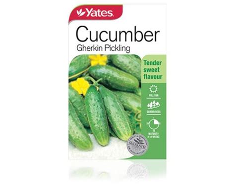 Cucumber Gherkin Pickling | Vegetables| Yates Seeds for Gardens