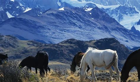 Turismo En La Pampa, Destinos Argentinos, Turismo