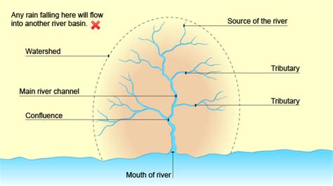 drainage basin Diagram | Quizlet