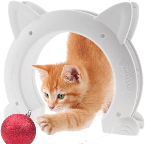 Amazon.com : Pet Door for Cats - 2 Way Cat Doors Without Flap | Hole ...