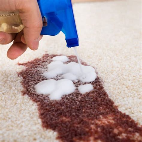 Stain Removal Melbourne | Pet Stain Removal Melbourne | 0426 105 106