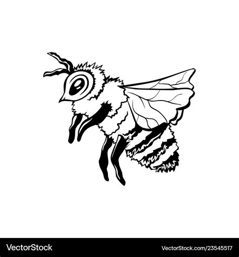 Black outline sketch of honey bee Royalty Free Vector Image