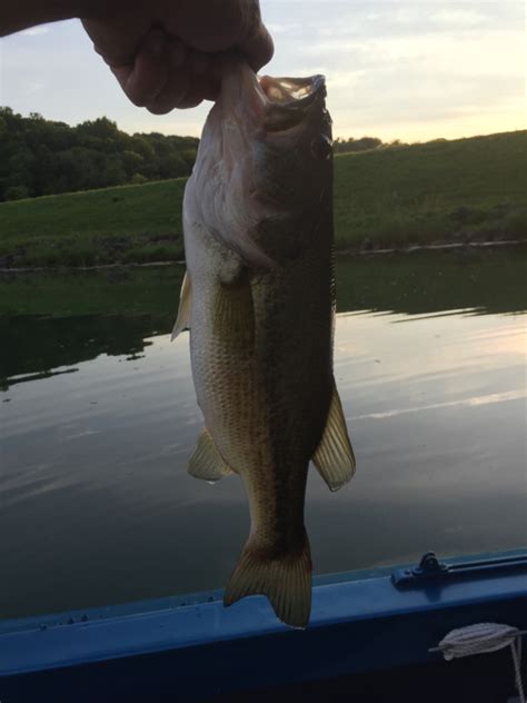 Cross Creek Lake PA Fishing Reports, Map & Hot Spots