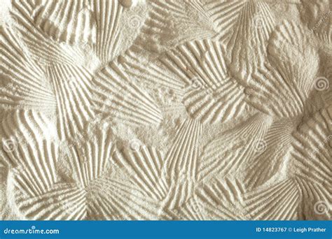 Shell Patterns Royalty Free Stock Photography - Image: 14823767