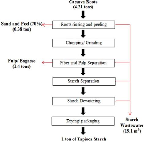 Process of starch production Starch: Starch is the main plant ...