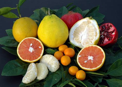 5 winter fruits and vegetables to enjoy this season