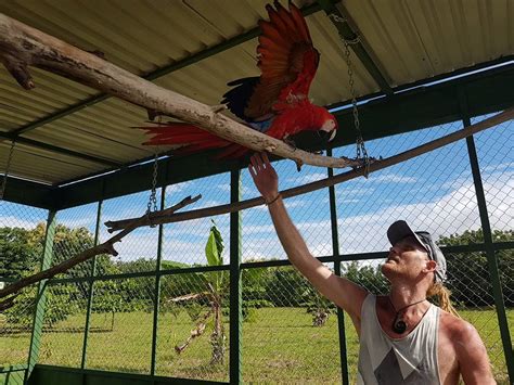 Macaw Conservation in Costa Rica