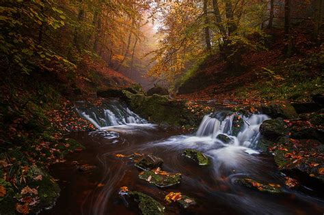 Waterfalls, Waterfall, Belgium, Fall, Forest, River, HD wallpaper | Peakpx