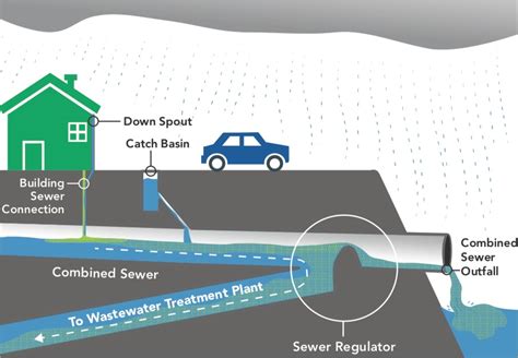 Lunch and Learn: Green Infrastructure at DDC