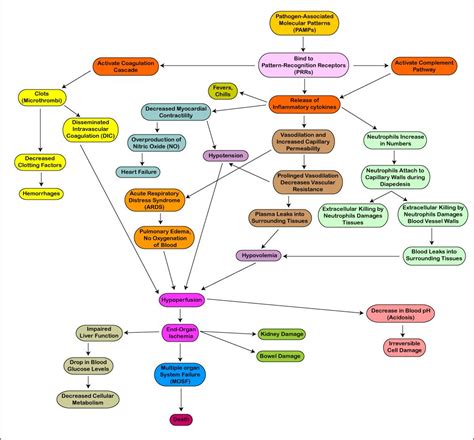 nice septic shock diagram - http://pinterest.com/laycal/neurology/ Pathophysiology Nursing ...