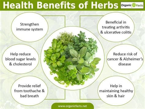 Benefits of Herbs in Beauty - Herbal Nail Bar