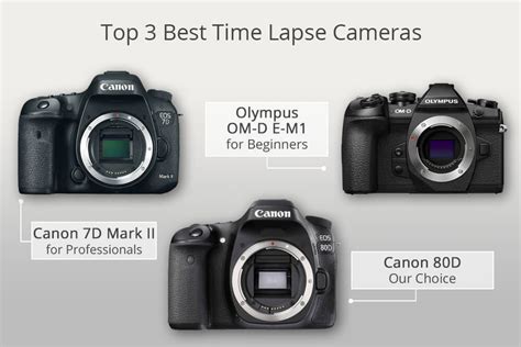 10 Best Time Lapse Cameras – What Time Lapse Camera to Choose for the ...