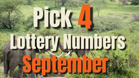 Pick 4 Lottery Numbers ~September - YouTube