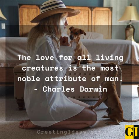 15 Cute and Best Animal Lover Quotes and Sayings