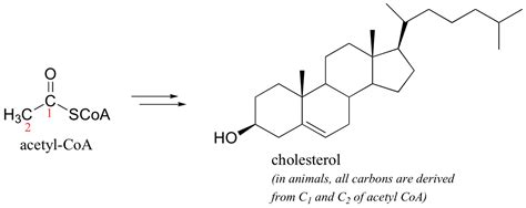 Vitamins and Their Uses - | Lower cholesterol naturally, Redox reactions, Cholesterol