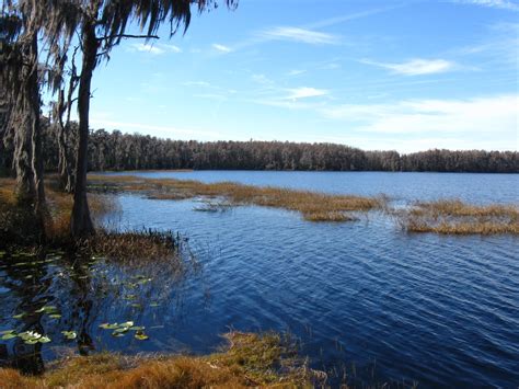 Lifelong Nomad: Lake Louisa State Park, Florida