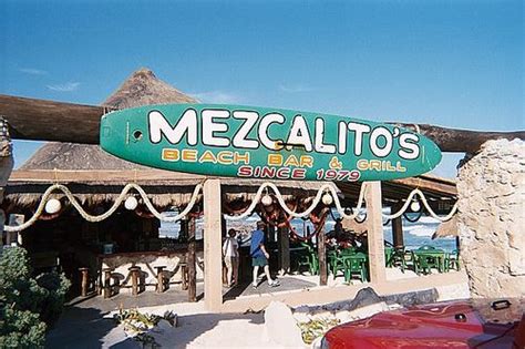 The Best Bars In Cozumel Mexico | Cozumel mexico, Cozumel, Cool bars