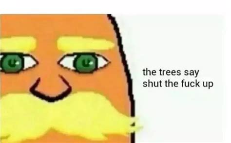 I Am The Lorax I Speak For The Trees | Know Your Meme