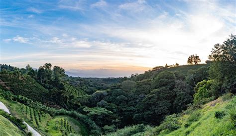 A Starbucks coffee farm in Costa Rica 🇨🇷 [OC] [2287X1322] : EarthPorn