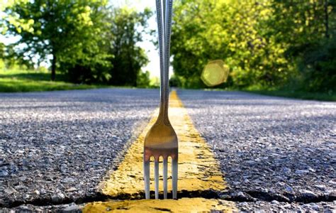 Fork in the road (metaphor) - Alchetron, the free social encyclopedia