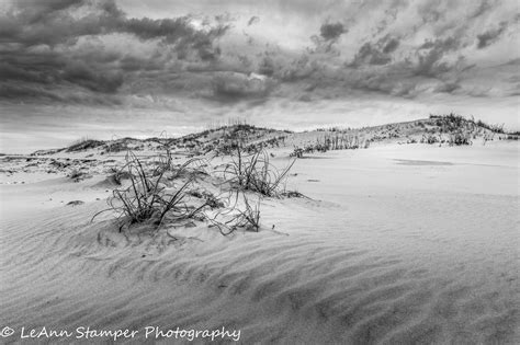 Outer Banks Sand Dunes Beach Print Black and White Fine Art | Etsy | Beach print, Beach ...